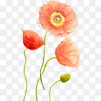 水彩画花卉-空若网 水彩画花卉-空若网