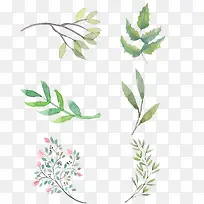 ����ˮ��Ҷ��-������