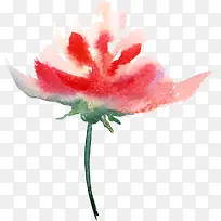 水彩一枝花-空若网 水彩一枝花-空若网