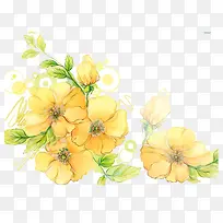 花朵插画-空若网 花朵插画-空若网