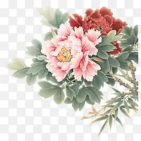 Ë®²Ê»Ö²Îﻨ¶ä×°ÊÎ-¿ÕÈôÍø Ë®²Ê»Ö²Îﻨ¶ä×°ÊÎ-¿ÕÈôÍø