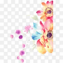 ��ɫˮ�ʻ���ֲ��-������