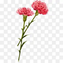 红色水彩花朵设计-空若网 红色水彩花朵设计-空若网