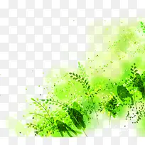 绿色时尚水彩花朵植物-空若网 绿色时尚水彩花朵植物-空若网