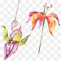 ˮ�ʻ���Ҷ��-������