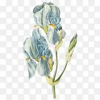 Ë®²Ê»¨¶ä-¿ÕÈôÍø Ë®²Ê»¨¶ä-¿ÕÈôÍø