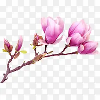 ˮ�ʹŵ仨����-������