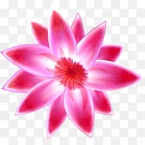 ��ɫ����ˮ�ʻ���-������