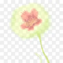 炫彩时尚创意花朵水彩-空若网 炫彩时尚创意花朵水彩-空若网