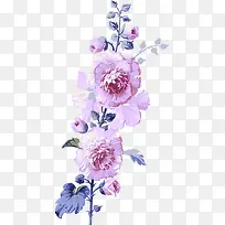 Ψ��ˮ�ʻ������-������