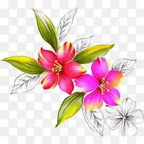 ��ɫʱ��ˮ�ʻ������-������