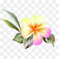 时尚淡雅水彩花朵设计-空若网 时尚淡雅水彩花朵设计-空若网