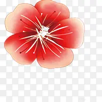 ��ɫˮ����������-������