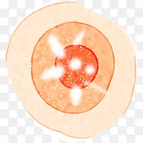 创意合成水彩橙色的花朵-空若网 创意合成水彩橙色的花朵-空若网