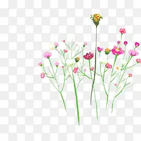 Ë®²Ê»»¨¶ä¿¨Æ¬Éè¼Æ-¿ÕÈôÍø Ë®²Ê»»¨¶ä¿¨Æ¬Éè¼Æ-¿ÕÈôÍø