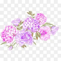 创意水彩开放的花朵-空若网 创意水彩开放的花朵-空若网