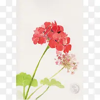 ��������ˮ�ʻ���-������