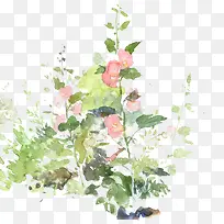 ˮ�ʻ��仨��-������