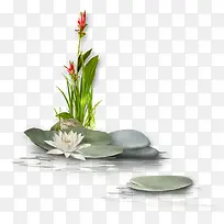 ˮ�ʻ���ˮ�ϻ���-������