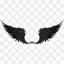 ��ɫ���-������