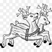 Ê¥µ®½Úѱ¹-¿ÕÈôÍø Ê¥µ®½Úѱ¹-¿ÕÈôÍø