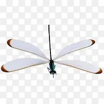 ����-������