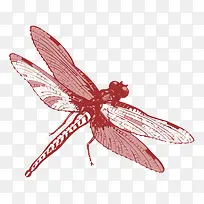 卡通蜻蜓-空若网 卡通蜻蜓-空若网