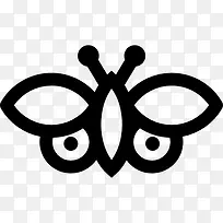 蝴蝶图标-空若网 蝴蝶图标-空若网