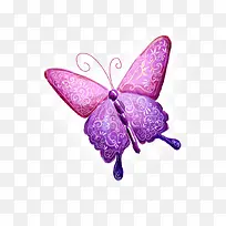 紫色蝴蝶-空若网 紫色蝴蝶-空若网