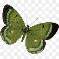 ����ͼƬ-������