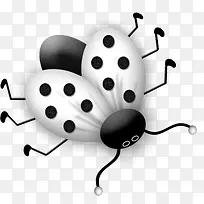 飞行的动物-空若网 飞行的动物-空若网