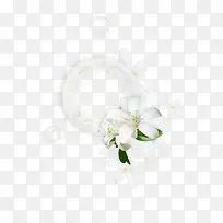 花藤边框-空若网 花藤边框-空若网