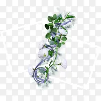 边框-空若网 边框-空若网