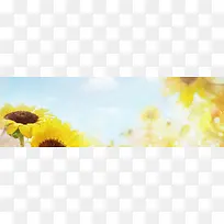 ���ﻨ�㰮����������-������