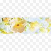 ���ﻨ�㰮����������-������