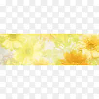 ���ﻨ�㰮����������-������