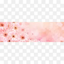 ���ﻨ�㰮����������-������