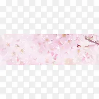 ���ﻨ�㰮����������-������