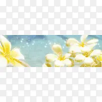 鸟语花香爱情浪漫背景-空若网 鸟语花香爱情浪漫背景-空若网