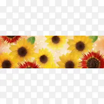 鸟语花香爱情浪漫背景-空若网 鸟语花香爱情浪漫背景-空若网