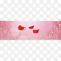 ������ܰ�������鱳��-������