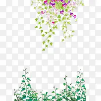 花草装饰素材-空若网 花草装饰素材-空若网