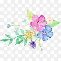 花草-空若网 花草-空若网