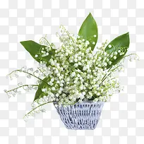 ���ܲ廭���ܱ�ǩ-������