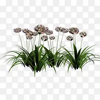 װ���زĻ����ز�-������