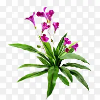 �����ز�ʸ�������ز�-������