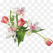 ֲ�ﻨ���زĻ���ͼ��-������