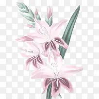 װ��ͼƬ�ز�ˮ�ʻ����ز�-������