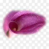 水彩花卉素材花草图案素材-空若网 水彩花卉素材花草图案素材-空若网