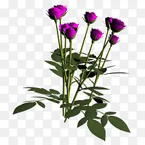 ����ps�زĻ���ͼ��-������